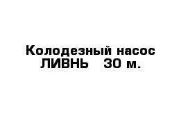 Колодезный насос ЛИВНЬ - 30 м.
